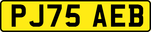 PJ75AEB