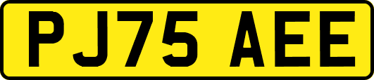 PJ75AEE