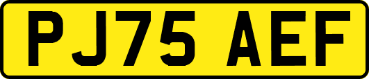 PJ75AEF