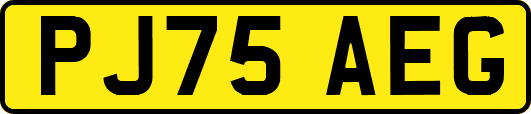 PJ75AEG