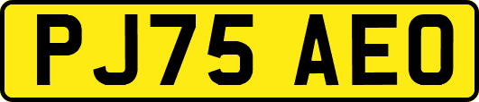 PJ75AEO