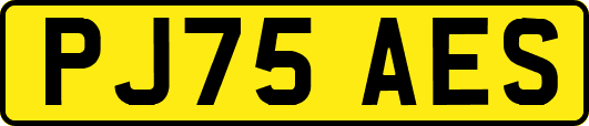 PJ75AES