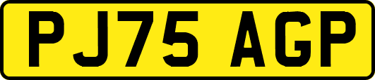 PJ75AGP