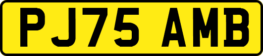 PJ75AMB