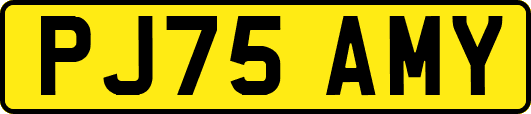 PJ75AMY