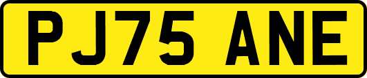 PJ75ANE