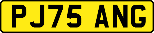 PJ75ANG