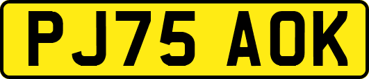 PJ75AOK