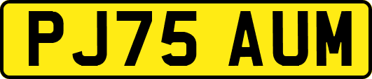 PJ75AUM