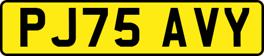 PJ75AVY
