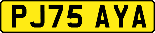 PJ75AYA