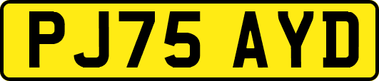 PJ75AYD