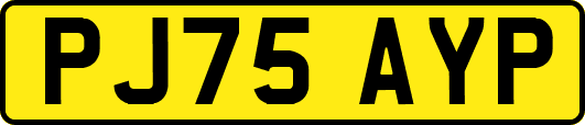 PJ75AYP