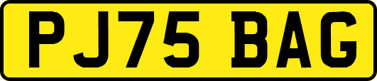 PJ75BAG