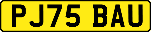 PJ75BAU