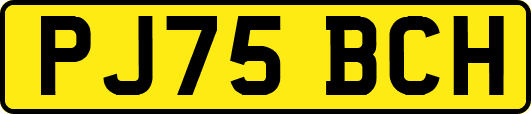 PJ75BCH
