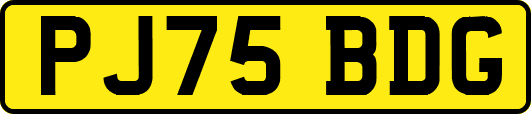 PJ75BDG