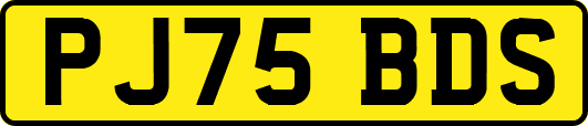 PJ75BDS