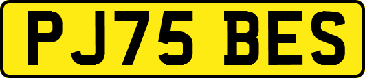 PJ75BES