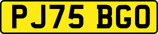 PJ75BGO