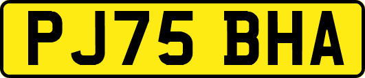 PJ75BHA