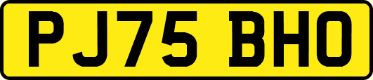 PJ75BHO