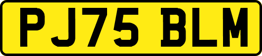 PJ75BLM