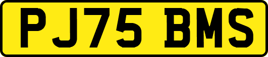PJ75BMS