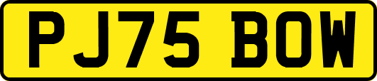 PJ75BOW