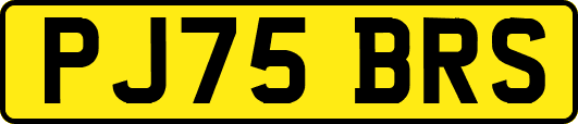 PJ75BRS
