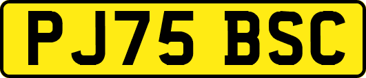 PJ75BSC