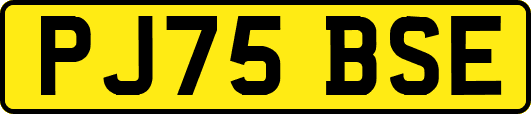 PJ75BSE