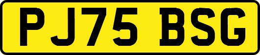 PJ75BSG