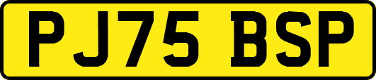 PJ75BSP