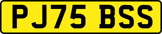 PJ75BSS