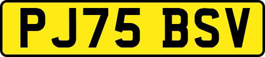 PJ75BSV