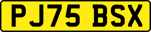 PJ75BSX