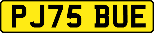 PJ75BUE