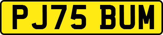 PJ75BUM