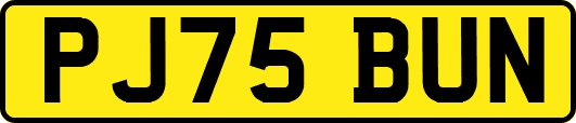 PJ75BUN
