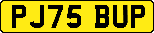 PJ75BUP