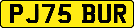 PJ75BUR