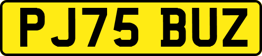 PJ75BUZ