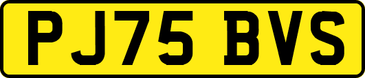 PJ75BVS