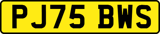 PJ75BWS