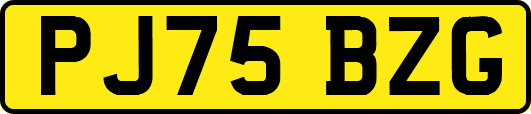 PJ75BZG
