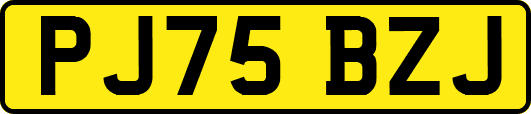 PJ75BZJ