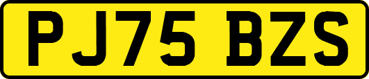 PJ75BZS