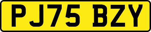PJ75BZY