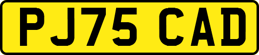 PJ75CAD